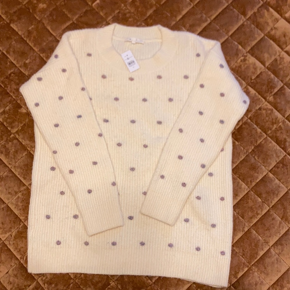 Loft Lou & Grey sweater